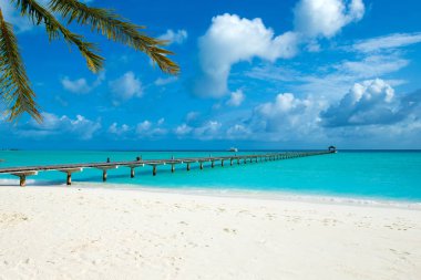 Beyaz kumlu sahili ve denizi olan tropik Maldivler adası