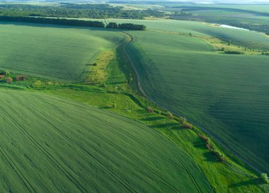 yeşil tarla ve mavi gökyüzü