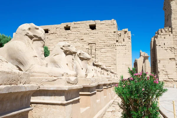 Afrika Ägypten Luxor Karnak Tempel — Stockfoto