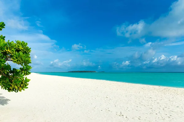 Tropische Malediven Eiland Met Wit Zandstrand Zee — Stockfoto