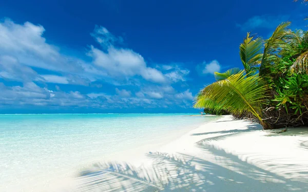 Tropiske Maldiveøyer Med Hvit Sandstrand Hav – stockfoto