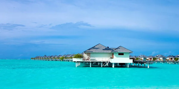 Playa Tropical Maldivas Con Pocas Palmeras Laguna Azul — Foto de Stock