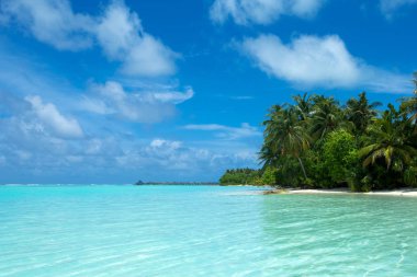 Beyaz kumlu sahili ve denizi olan tropik Maldivler adası