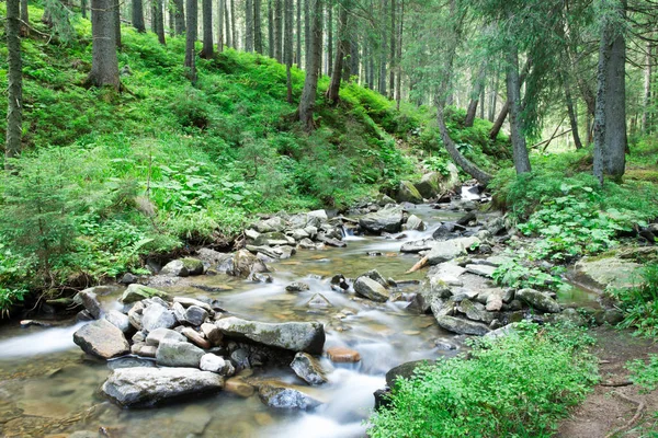 Панорамный Красивый Водопад Глубокого Леса — стоковое фото