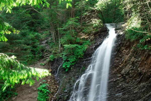 Panoramic Beautiful Deep Forest Waterfall — Stock Photo, Image