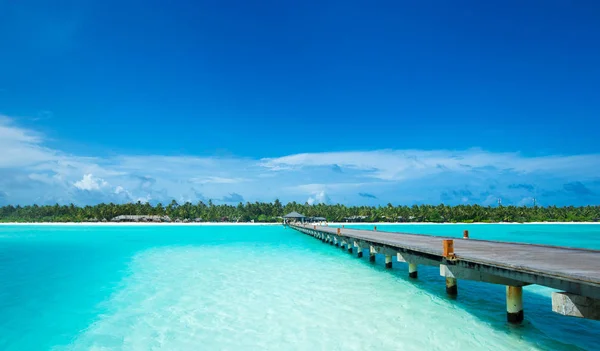 Île Tropicale Des Maldives Avec Plage Sable Blanc Mer — Photo