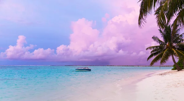 Solnedgång Havet Zanzibar — Stockfoto