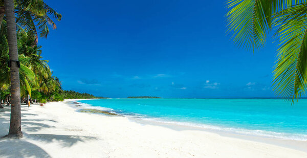 tropical Maldives island with white sandy beach and sea