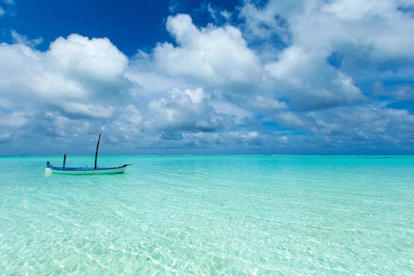 Praia Tropical Maldivas Com Poucas Palmeiras Lagoa Azul — Fotografia de Stock