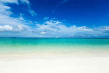 Maldivler 'de birkaç palmiye ağacı ve mavi lagünü olan tropik plaj