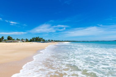 Sri Lanka 'da tropik bir sahil. Turizm için yaz tatili ve tatil kavramı.