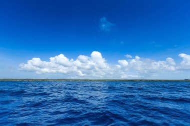  deniz Zanzibar Beach. Doğal tropikal su cenneti. Doğa rahatla. Seyahat tropikal Island resort. 