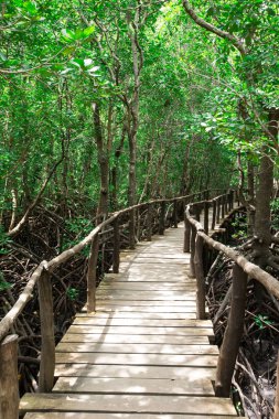 Çimenli bahçe taşı yolu