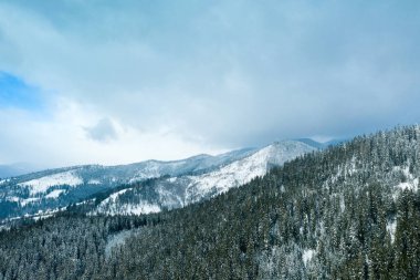güzel kış orman ve yol