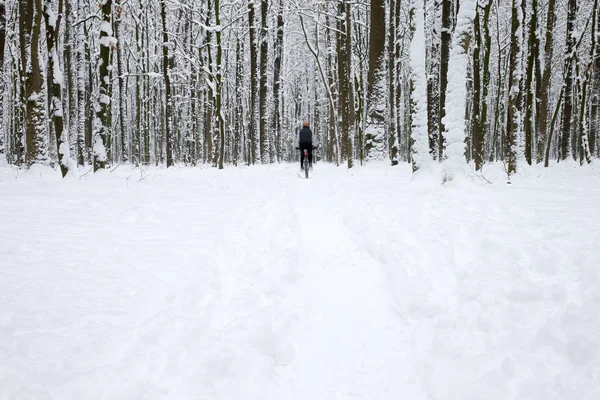 güzel kış orman ve yol