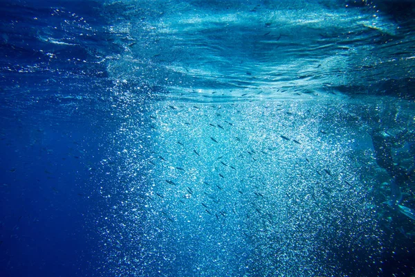 Lugn Undervattensscen Med Kopieringsutrymme — Stockfoto