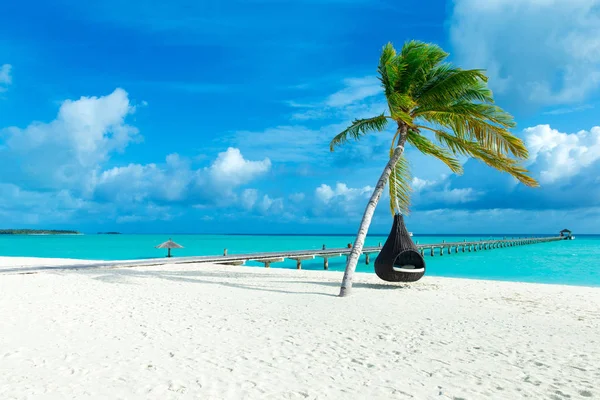 Tropical Maldives Island White Sandy Beach Sea — Stock Photo, Image