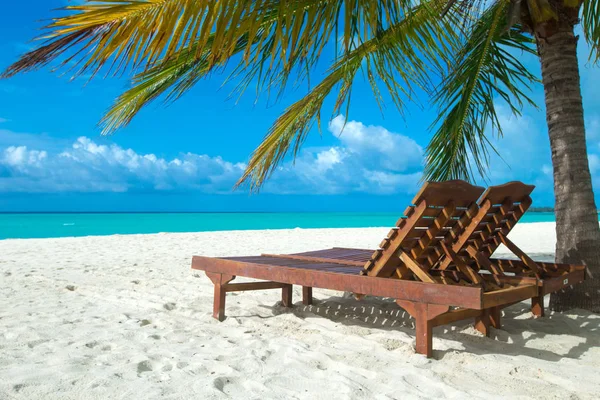 Ilha Maldivas Tropicais Com Praia Areia Branca Mar — Fotografia de Stock