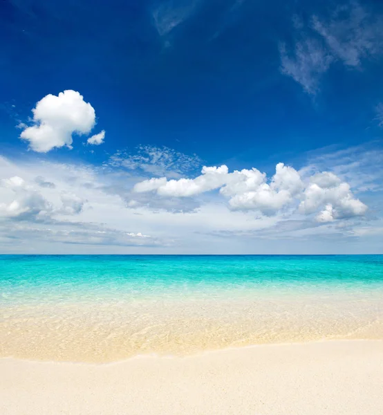 Tropische Insel Der Malediven Mit Weißem Sandstrand Und Meer — Stockfoto