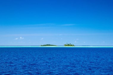 Beyaz kumlu sahili ve denizi olan tropik Maldivler adası