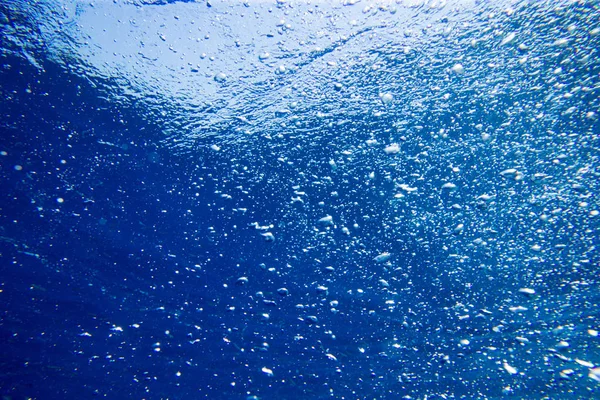 복사할 공간 이 있는 수중의 투명 한 장면 — 스톡 사진