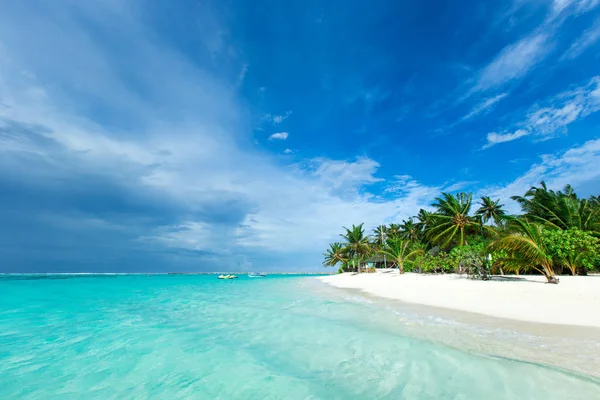 Beyaz kumlu sahili ve denizi olan tropik Maldivler adası — Stok fotoğraf