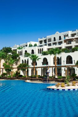 Hindistan cevizi ağacı ve beyaz şemsiyeli yüzme havuzu