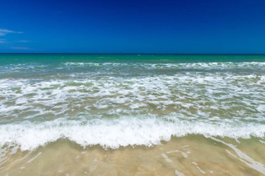 Sri Lanka 'da tropik bir sahil. Turizm için yaz tatili ve tatil kavramı.