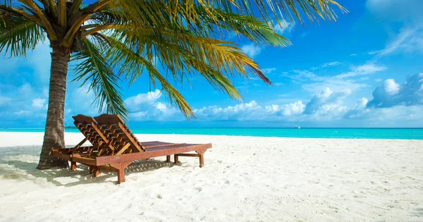 Ilha Maldivas Tropicais Com Praia Areia Branca Mar — Fotografia de Stock