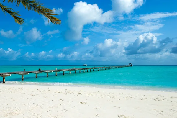 Isola Tropicale Delle Maldive Con Spiaggia Sabbia Bianca Mare — Foto Stock