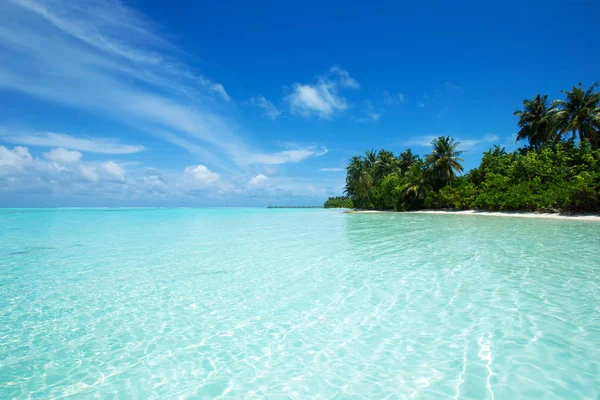 Île Tropicale Des Maldives Avec Plage Sable Blanc Mer — Photo