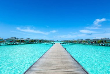 Beyaz kumlu sahili ve denizi olan tropik Maldivler adası