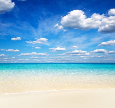 Plaj ve tropikal deniz. doğa arkaplanı