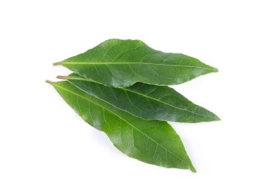 Körfez yaprakları beyaz arkaplanda izole