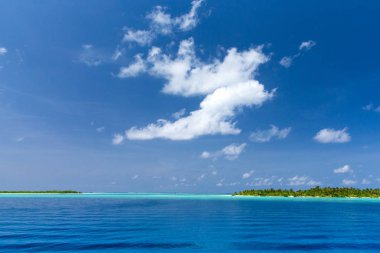 Beyaz kumlu sahili ve denizi olan tropik Maldivler adası