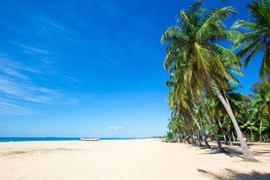 Sri Lanka tropikal plaj . Yaz tatili ve tatil concep