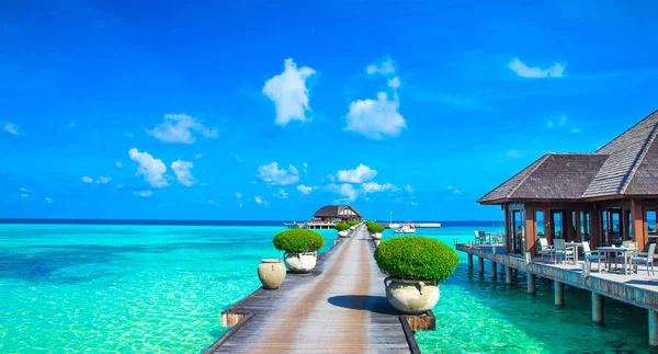 Trópusi Maldív-szigetek sziget fehér homokos tengerpart és tenger — Stock Fotó
