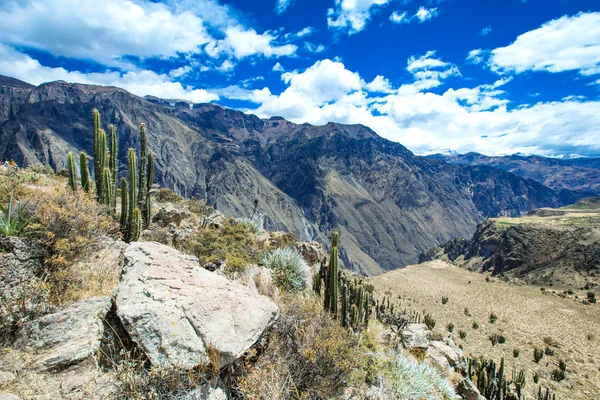 Landskap av Peru — Stockfoto