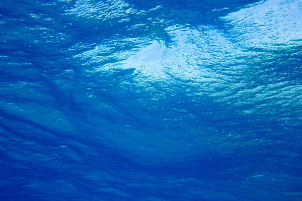 Unterwasserszene mit Kopierraum — Stockfoto