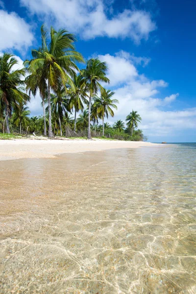 Praia tropical no Sri Lanka. Férias de verão e férias concep — Fotografia de Stock