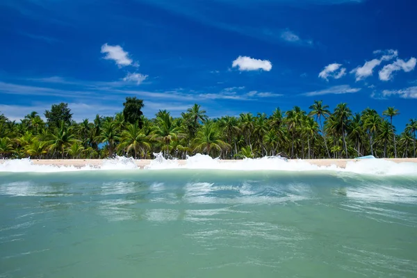Sri Lanka tropikal plaj . Yaz tatili ve tatil concep — Stok fotoğraf