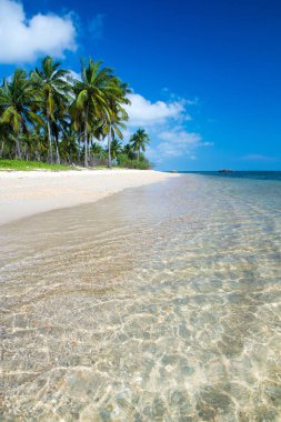 Sri Lanka 'da tropik bir sahil. Turizm için yaz tatili ve tatil kavramı.