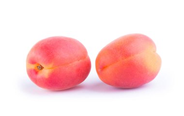 Kayısı beyaz arkaplanda izole edildi