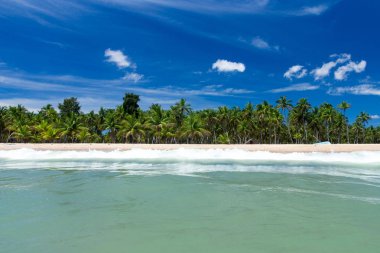 Sri Lanka 'da tropik bir sahil. Turizm için yaz tatili ve tatil kavramı.
