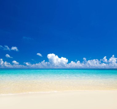 Beyaz kumlu sahili ve denizi olan tropik Maldivler adası