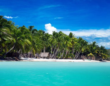 tropica denizi. plaj karayip denizi kum