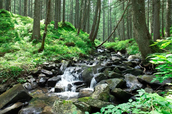 Panoramique Belle Cascade Forêt Profonde — Photo