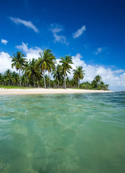 Τροπική Παραλία Στη Σρι Λάνκα Καλοκαιρινές Διακοπές Και Διακοπές Για — Φωτογραφία Αρχείου