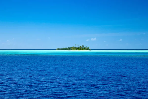 Isla Tropical Maldivas Con Playa Arena Blanca Mar — Foto de Stock