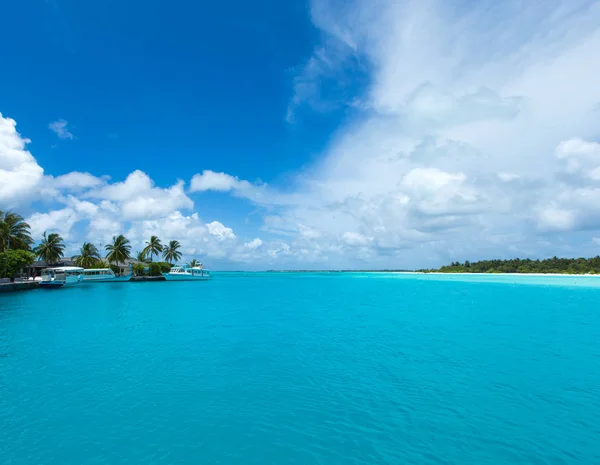 Isla Tropical Maldivas Con Playa Arena Blanca Mar — Foto de Stock